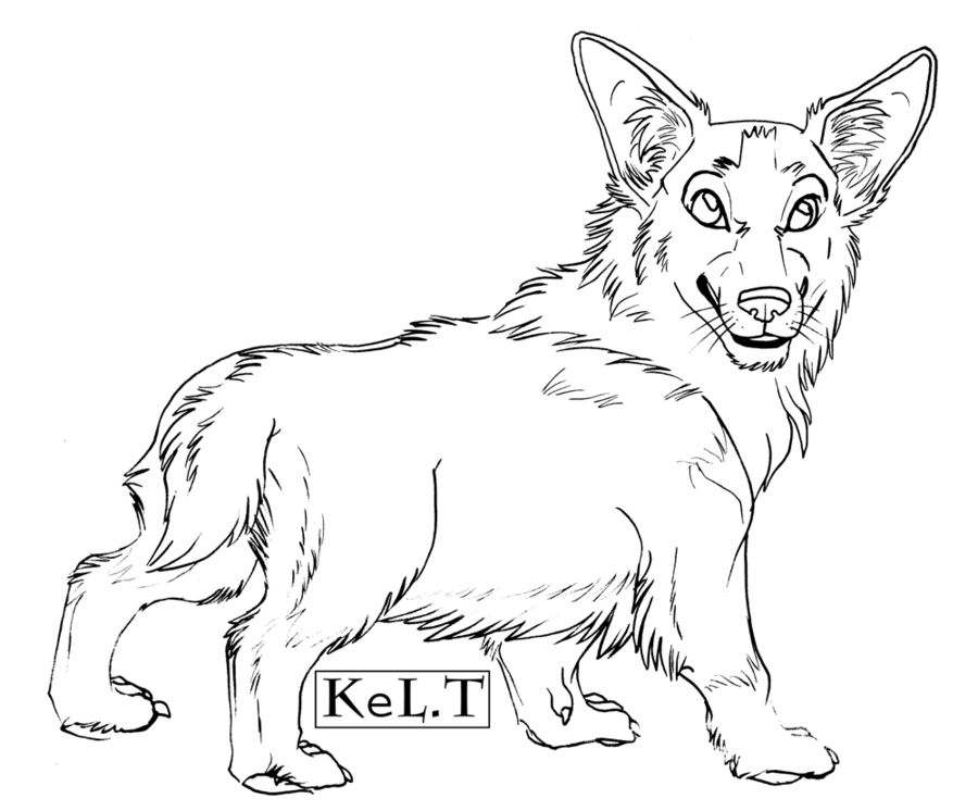 900x746 Pembroke Welsh Corgi Template By Senshee