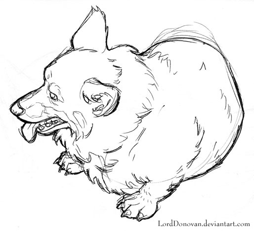 514x467 Round Corgi By Lorddonovan