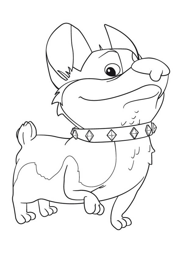 600x834 Corgi Coloring Pages