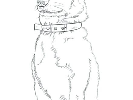 440x330 Corgi Coloring Pages Synthesis.site