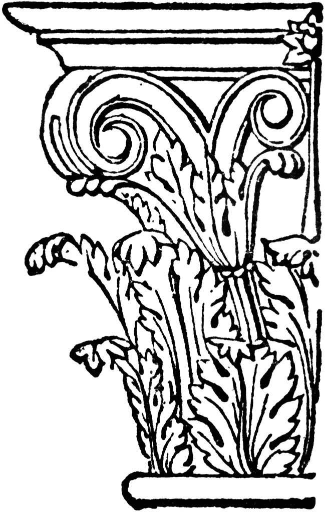 649x1024 Volute Of The Corinthian Capital Clipart Etc