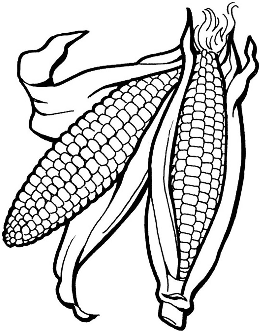 900x1145 Corn Coloring Pages