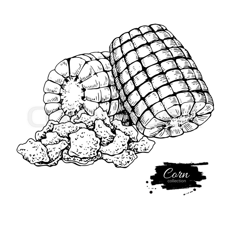 800x799 Corn Flakes Hand Drawn Vector Illustration. Heap Of Granola Muesli