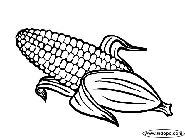 Corn Cob Drawing at GetDrawings | Free download