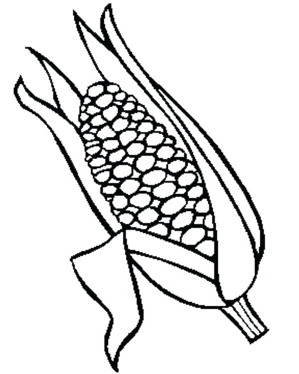 600x752 Pretty Corn Coloring Pages Fee Page Indian Sheets