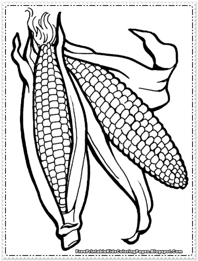 671x883 Coloring Page Of Corn On The Cob Tags Coloring Page Of Corn