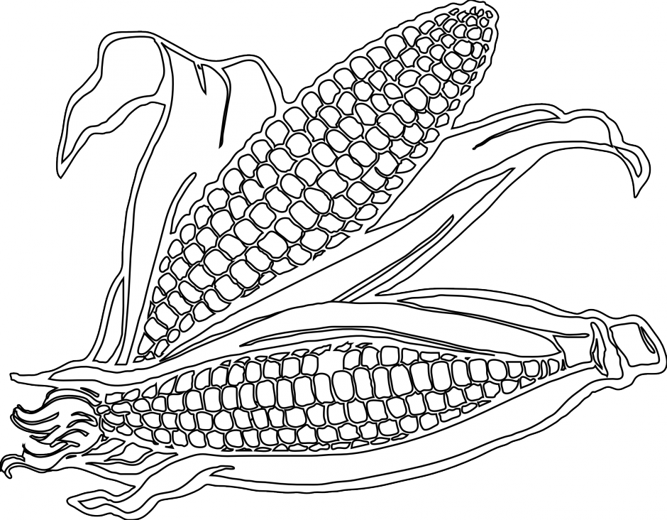 Corn Outline Printable