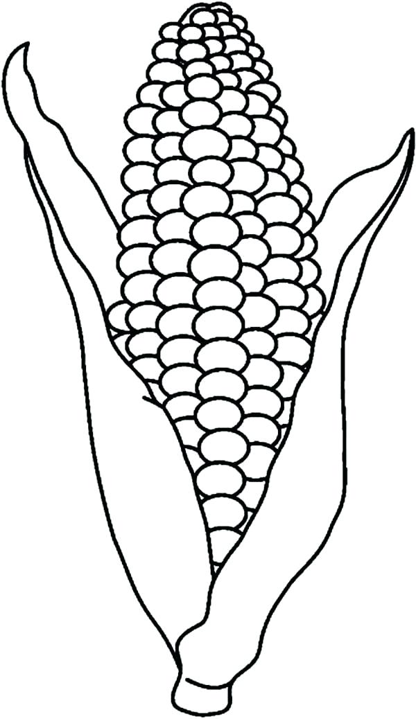 600x1038 Corn Cob Coloring Page
