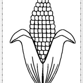 Corn Drawing Image at GetDrawings | Free download