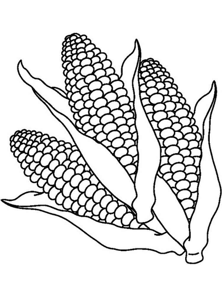 750x1000 Corn Coloring Pages. Download And Print Corn Coloring Pages