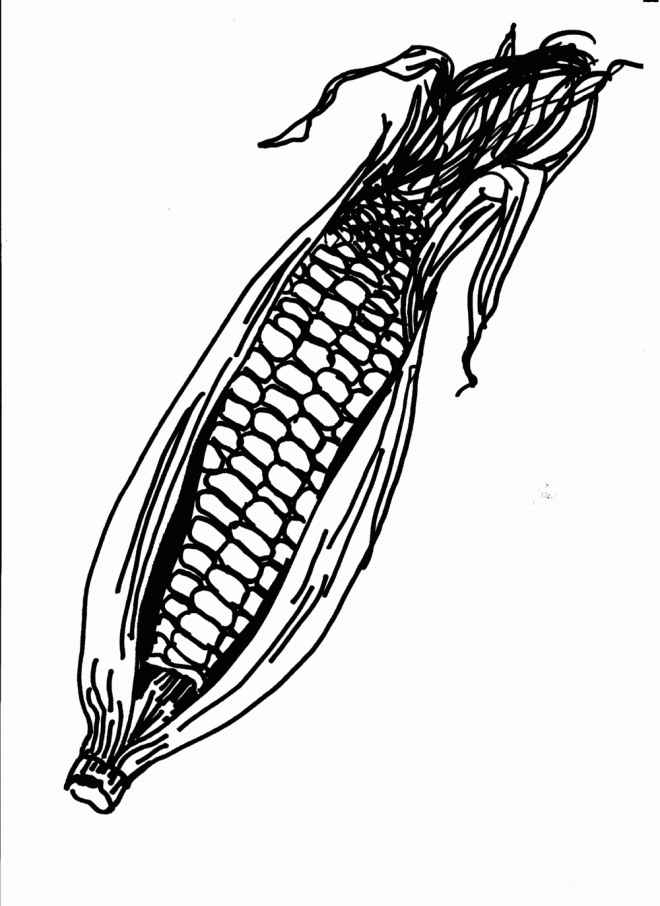 660x906 Sweet Corn Coloring Pages For Free