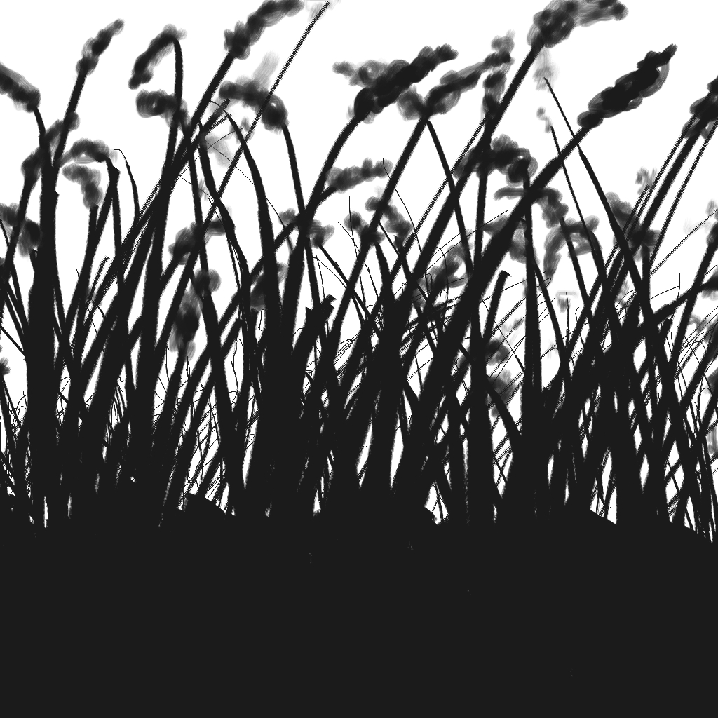 1024x1024 Cornfield By Slography