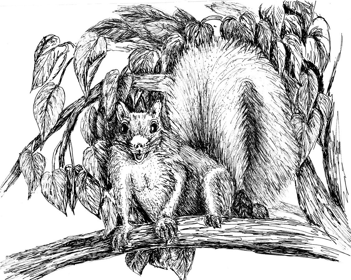 1126x900 Black River Review 2015