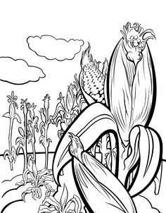 236x302 Cornfield Coloring Page