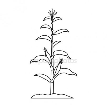 450x450 Corn Icon In Outline Style Isolated On White Background. Plant