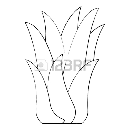 450x450 White Background With Caricature Of Corn Plant In Flower Pot