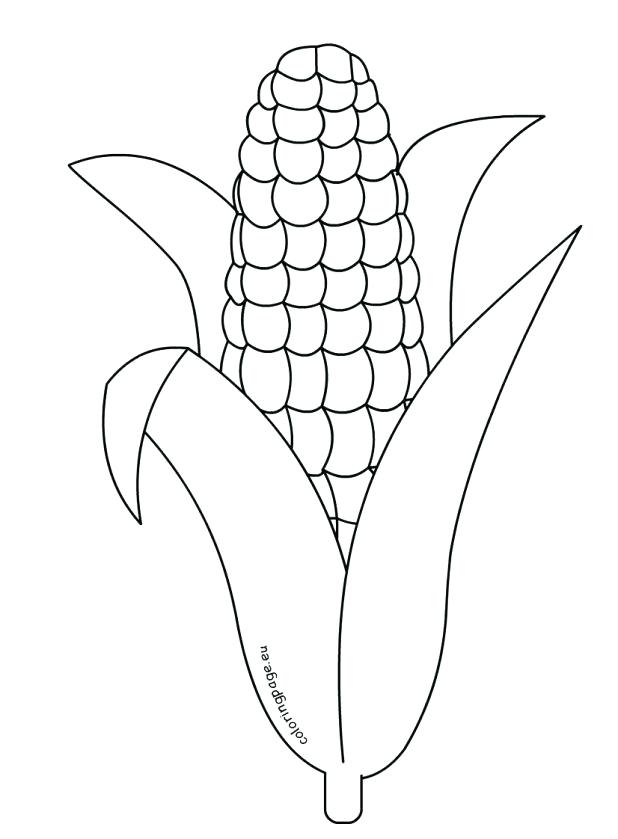 618x839 Corn Coloring Pages Corn Coloring Pages Printable Inspiring