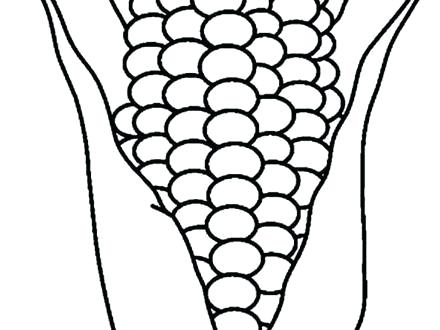 440x330 Corn Stalk Coloring Page Corn Coloring Pages Free Printable Corn