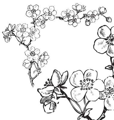 380x400 Antique Flowers Corner Engraving Vector Holidays Easter