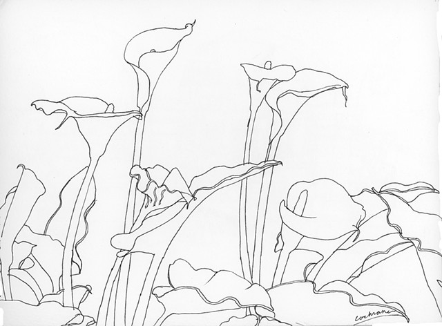 640x472 Carycochrane