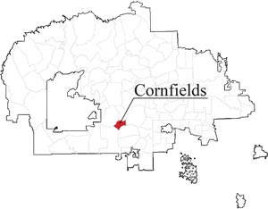 300x234 Cornfields Community Tackles Top Priorities Of Infrastructure