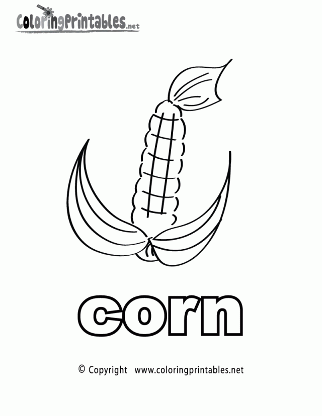 640x828 Corn Stalk Coloring Page 508350