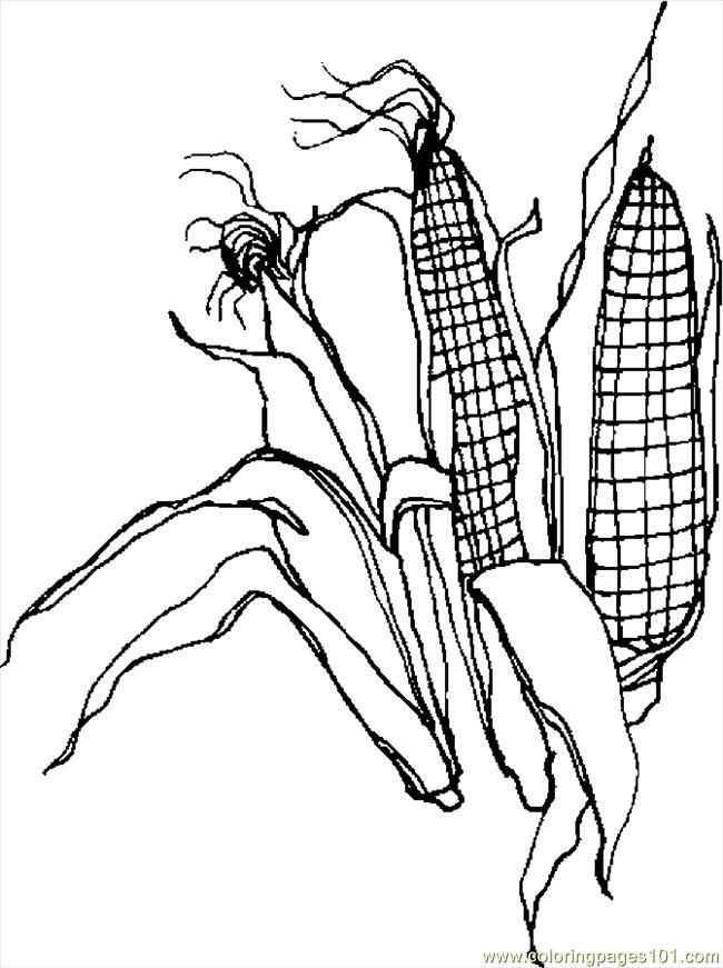 650x871 Corn Stalk Coloring Pages