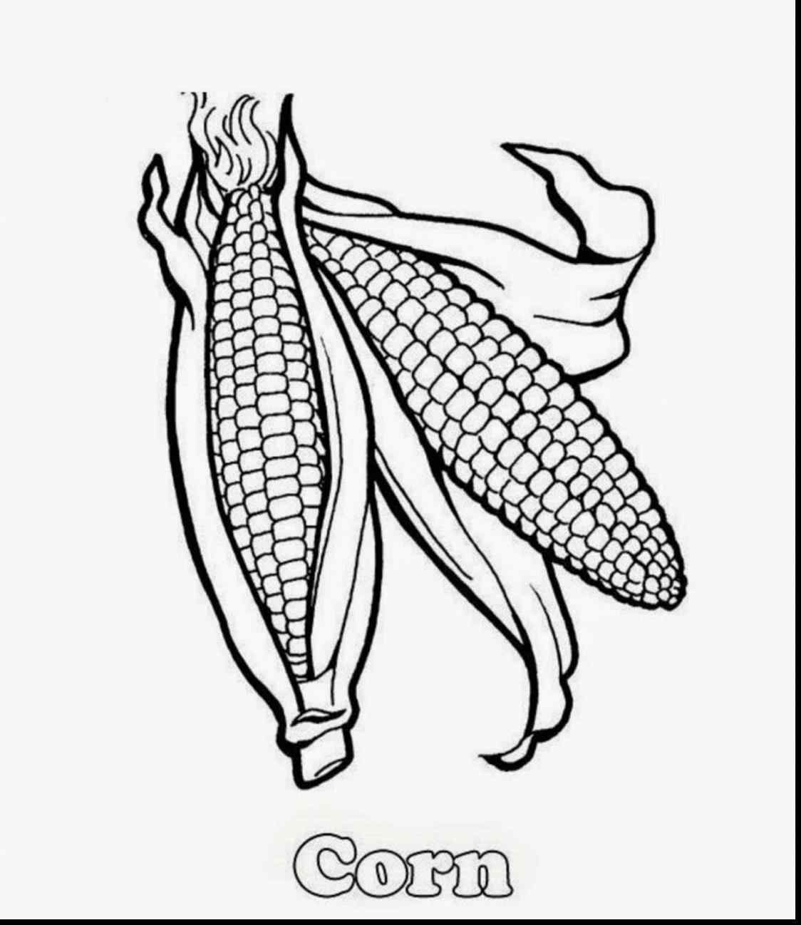 1124x1298 Corn Stalk Coloring Pages Online Coloring Printable