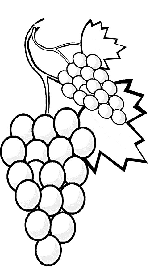 499x863 Fruit And Vegetables Coloring Pages Embroidery Patterns On Corn