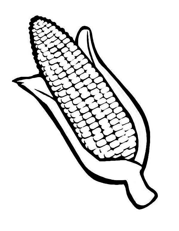 600x776 Coloring Page Of Corn Stalk Tags Coloring Page Of Corn How