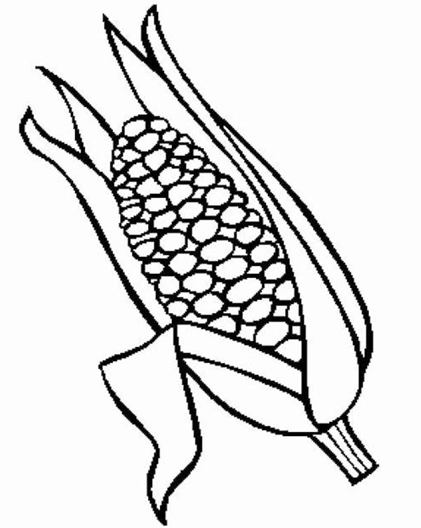 600x752 Coloring Pages Of Corn