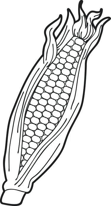 376x700 Corn Coloring Sheet Sweet Corn Coloring Sheet Popcorn Bucket