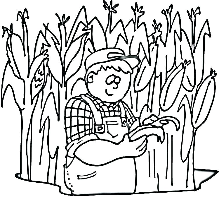 750x673 Corn Coloring Sheets Corn Stalk Coloring Page Candy Corn Coloring