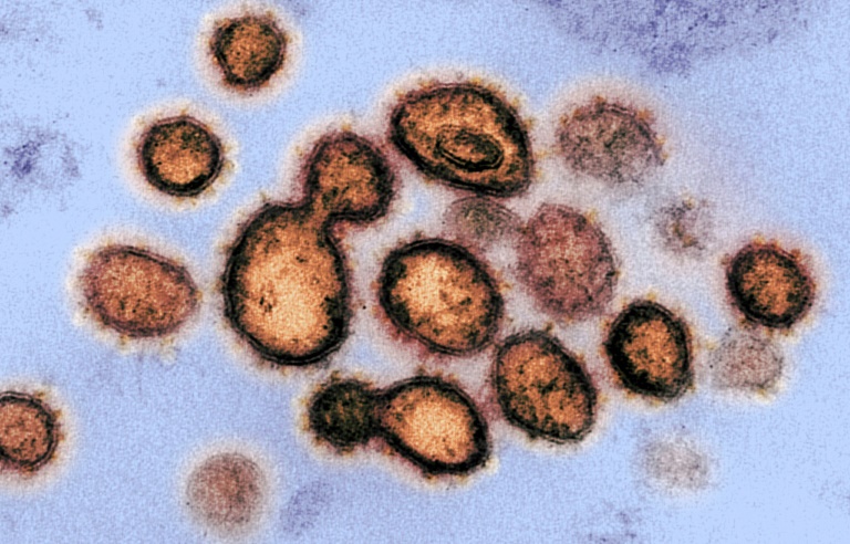 768x492 Coronavirus disease drawing