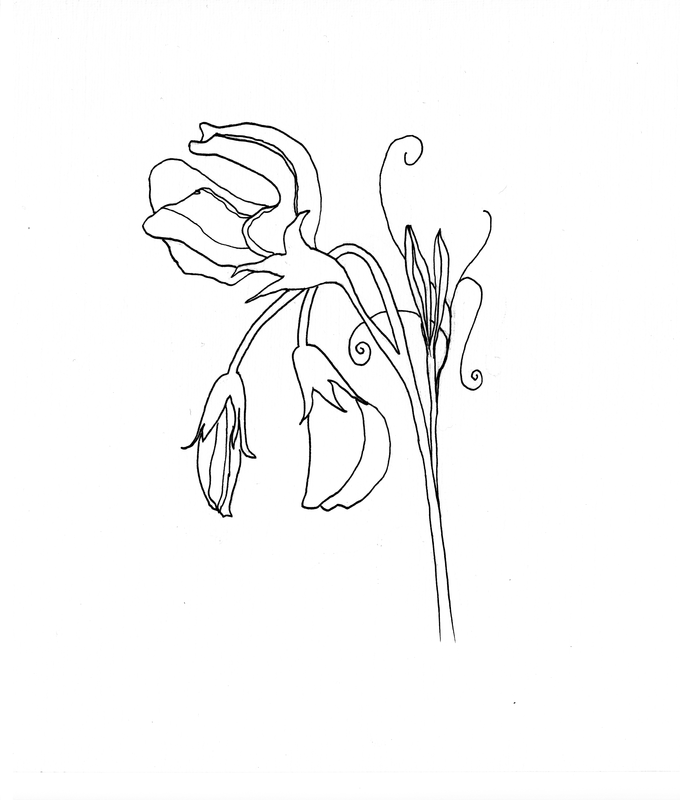 680x800 Commissions Amp Corporate Logos