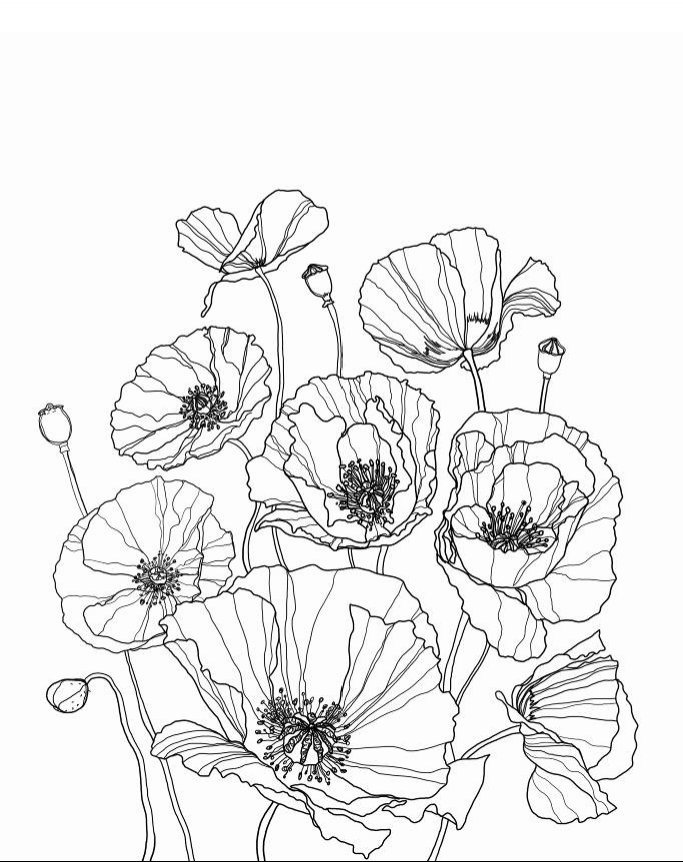 683x862 Flourishing Moments Reduce Stress And Anxiety With 50