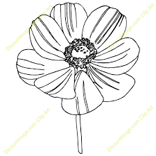 225x225 Image Result For Cosmos Flower Drawings Cvarnam