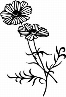 210x310 Cosmos Flowers 1 Floral Flowers And Garland Decals