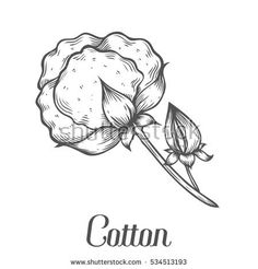 236x246 Cotton Production Began During The Industrial Revolution Factory