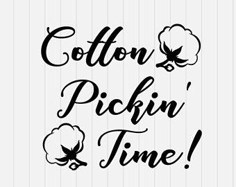 340x270 Cotton Boll Etsy