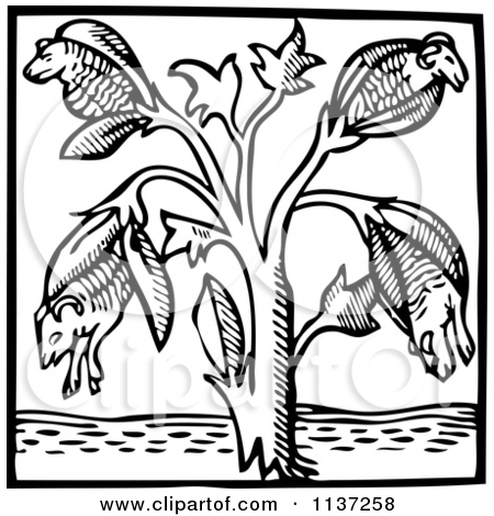 450x470 Another Version Of Baumwolle Clipart By Picsburg Future Crimes