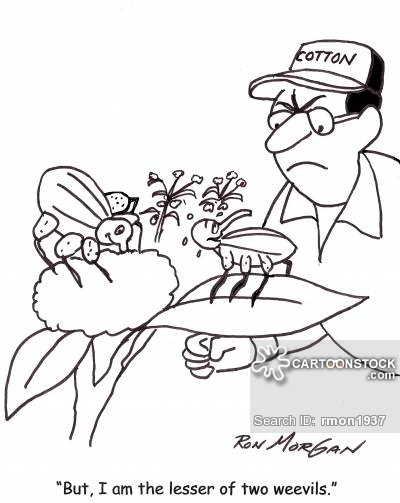 400x503 Boll Weevils Cartoons And Comics