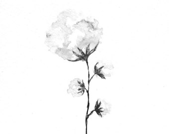 340x270 Boll Watercolor Etsy