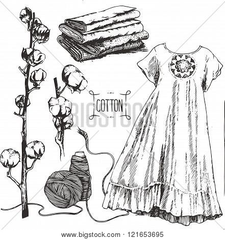 441x470 Cotton Cultivation, Production Vector Amp Photo Bigstock