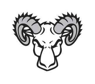 325x286 Cotton Stripper Brushes And Bats From Ram Manufacturing