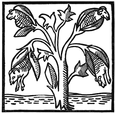 400x392 Know Your Fiber Cotton Northwest Yarns