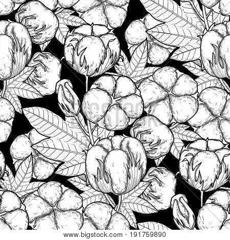 450x470 Cotton Plant Images, Illustrations, Vectors
