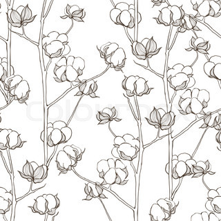 320x320 Hand Drawn Cotton Plant Flower Stock Vector Colourbox