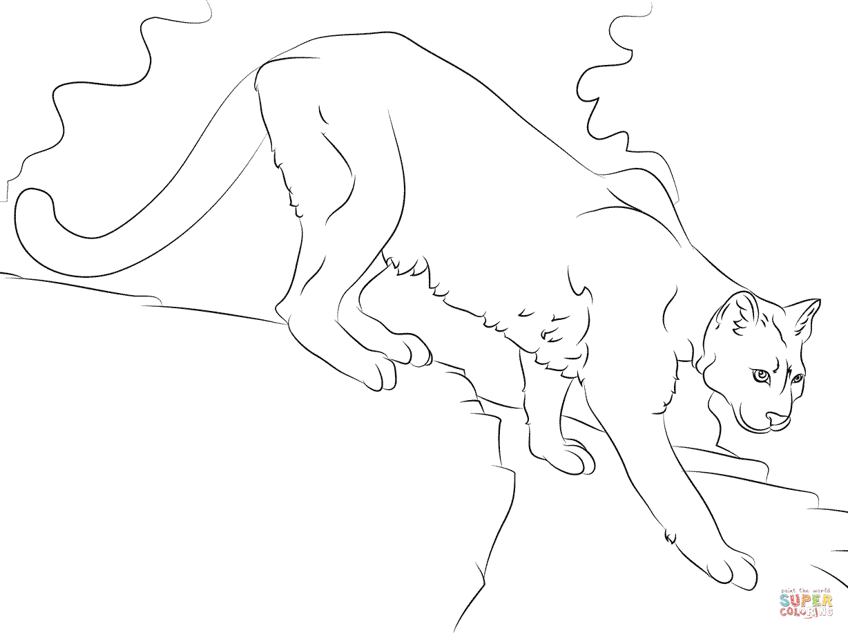 1228x916 Cougar Coloring Pages