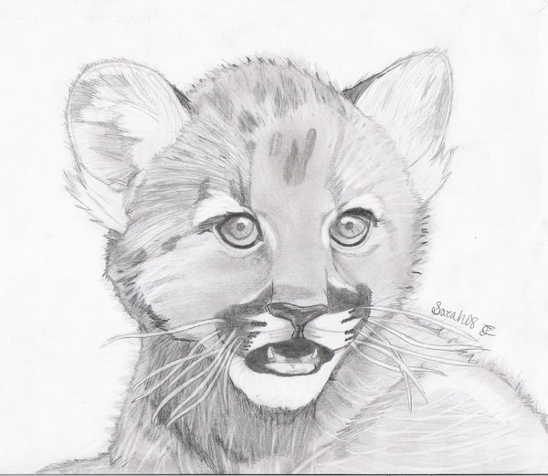 600x521 Cougar Cub Giftie By Airhead77